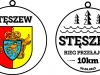 medal-projekt-steszew-2013 medal-projekt-steszew-2013