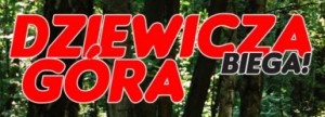 logo dziewicza gora beiga