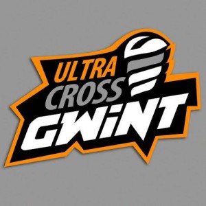 logo gwint