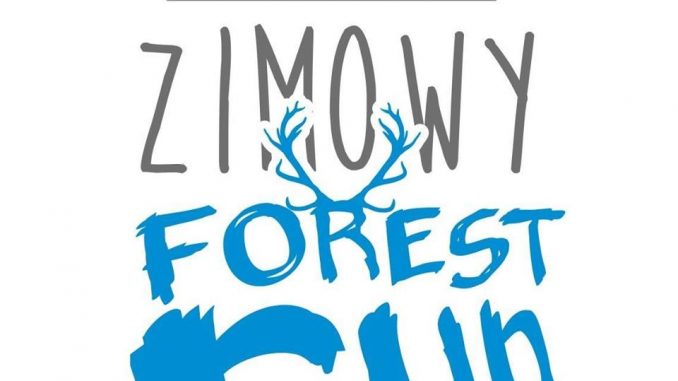 zimowy