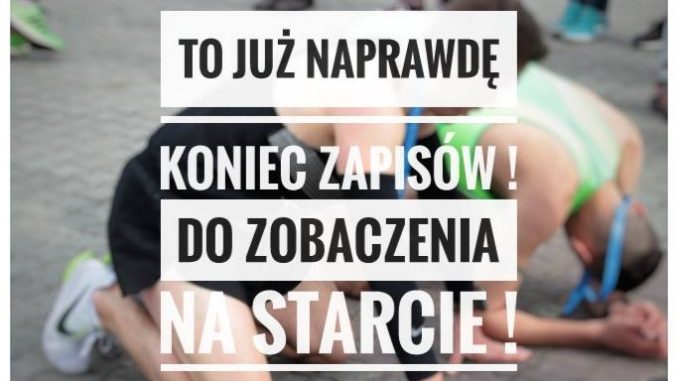 14konieczapisow