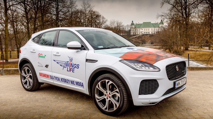 Wings for Life World Run fot.Michał Murawski